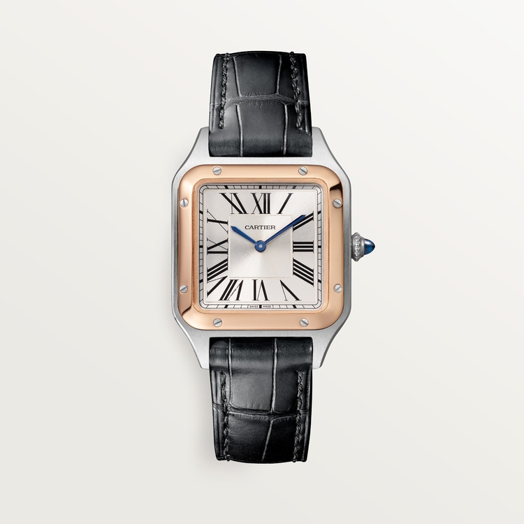 Купить Часы Cartier SANTOS-DUMONT (W2SA0012)-mysymbol.club в Москве - mysymbol.club