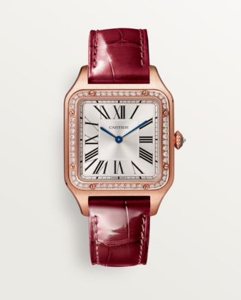 Купить Часы Cartier SANTOS-DUMONT (WJSA0016)-mysymbol.club в Москве - mysymbol.club