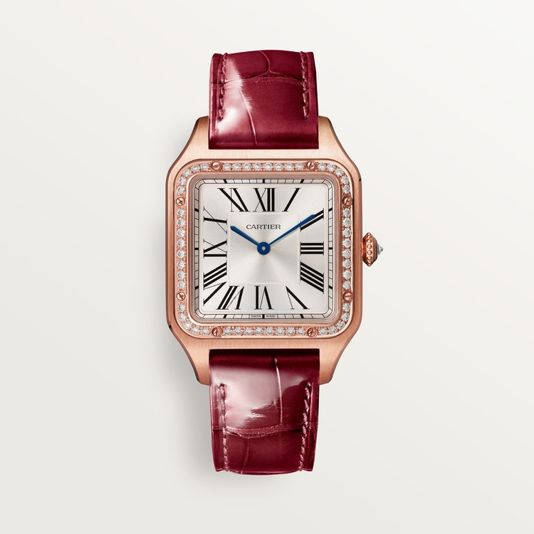 Купить Часы Cartier SANTOS-DUMONT (WJSA0016)-mysymbol.club в Москве - mysymbol.club