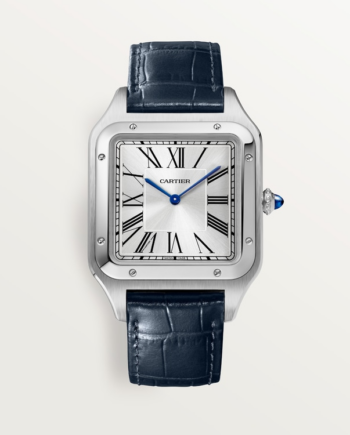 Купить Часы Cartier SANTOS-DUMONT (WSSA0032)-mysymbol.club в Москве - mysymbol.club