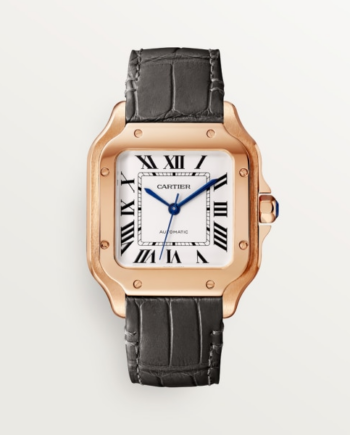 Купить Часы Cartier SANTOS (WGSA0028)-mysymbol.club в Москве - mysymbol.club