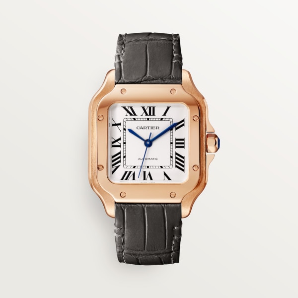 Купить Часы Cartier SANTOS (WGSA0028)-mysymbol.club в Москве - mysymbol.club