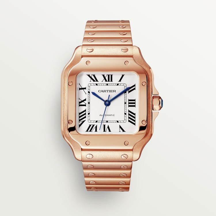 Купить Часы Cartier SANTOS (WGSA0031)-mysymbol.club в Москве - mysymbol.club